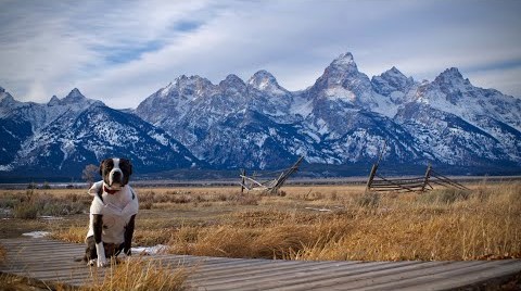 Grand Tetons